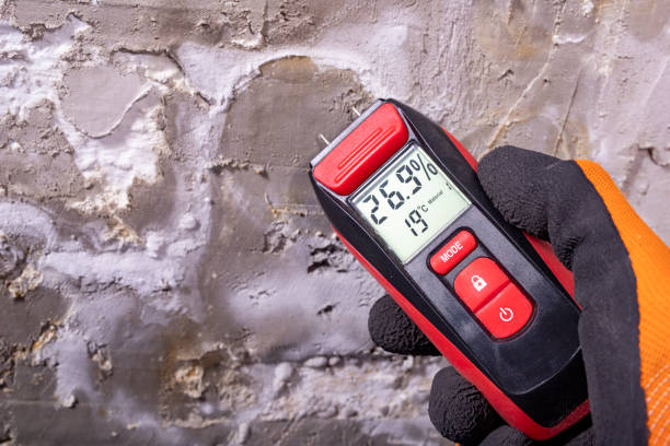 Best Mold Testing  in Mason, TX
