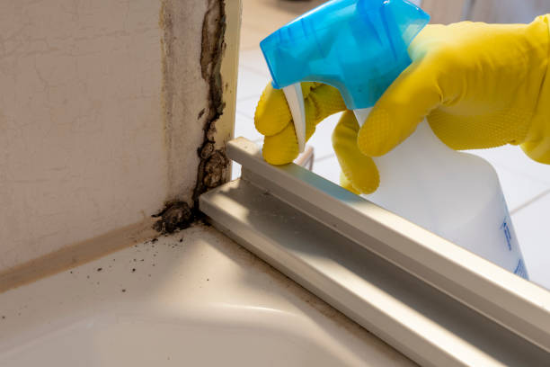 Best Emergency Mold Removal  in Mason, TX