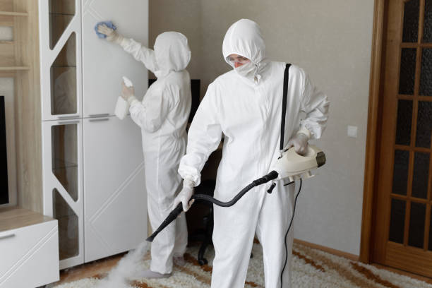 Best Certified Mold Removal  in Mason, TX