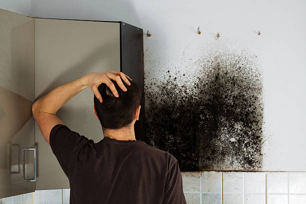 Best Office Mold Removal Services  in Mason, TX